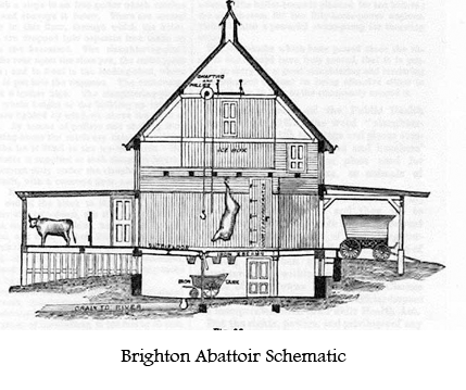 Abattoir